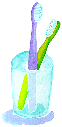 正しい歯の磨き方