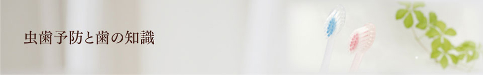 虫歯の知識